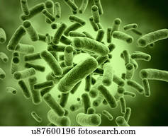 Bacterium, illustration.