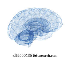 Human brain connections, illustration.