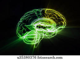 Human brain connections, illustration.