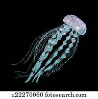 medusa, computador, illustration.