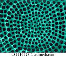 Radiolarian test (marine), coloured scanning electron micrograph (SEM). The hard skeleton surface is composed of silica or strontium sulphate. The Radiolaria (also called Radiozoa) are protozoa that produce intricate mineral skeletons. They are found...