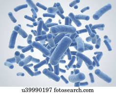 Bacteria cells
