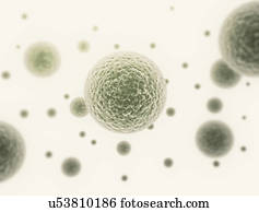 Bacteria cells