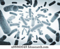 Bacteria cells