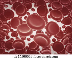 Red blood cells