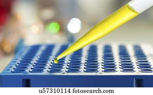 Multi well plate with pipette.