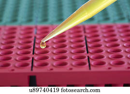 Multi well plate with pipette.