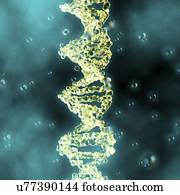DNA, illustration