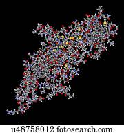 menschlich, chorionic, gonadotropin, hormon, molekül menschlich, chorionic, gonadotropin, hormon, molekül