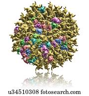 Cucumber mosaic virus particle, illustration