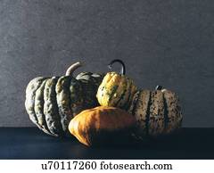 Pumpkins, studio shot