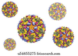 westliche, pferdeartig, encephalitis, virus, abbildung westliche, pferdeartig, encephalitis, virus, abbildung