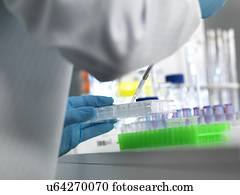 modelo, RELEASED., biológico, research., cientista, pipetting, amostras, em, um, multi, poço, prato, pronto, para, automatizado, testar, em, um, laboratory.