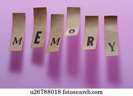 Pieces of paper with the word memory, studio shot.