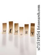Pieces of paper with the word memory, studio shot.