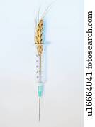 Wheat and syringe, studio shot.