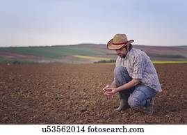 agricultor, verificar, solo, quality.