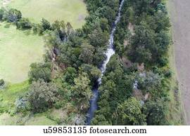 austrália, paisagem, com, canguru, vale