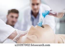 Doctor practising tracheal intubation on a training dummy.