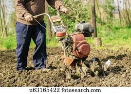 Man preparing garden soil with cultivator.