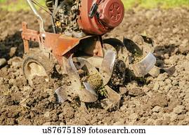 Preparing garden soil with cultivator.