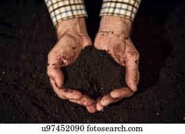 Soil in male gardener's hands.