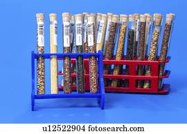 Agriculture research, conceptual image.