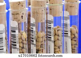 Agriculture research, conceptual image.