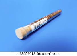 Agriculture research, conceptual image.