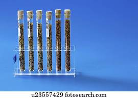 Agriculture research, conceptual image.