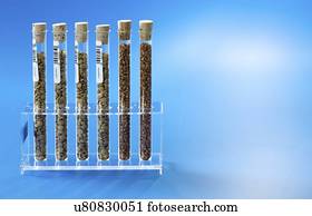 Agriculture research, conceptual image.