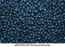 Aronia, berries.