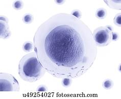 Cells, illustration.