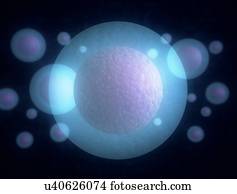 Cells, illustration.