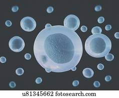 Cells, illustration.