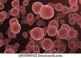 Cells, illustration.