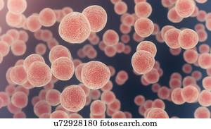 Cells, illustration.