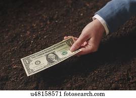 empréstimo banco, para, agricultura, conceitual, image.