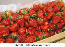 fresco, strawberries.