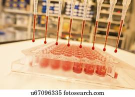 Multi pipette and 96 well plate.