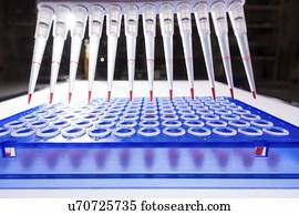 Multi pipette and 96 well plate.