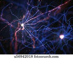 Nerve cells, illustration.