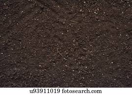 Soil.