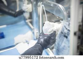 técnicos, passagem, um, garrafa, de, solução, em, um, selado, estéril, isolator, unidade, em, um, tecido, engenharia, laboratory.