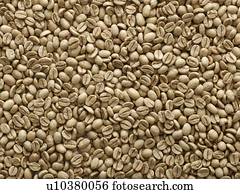 Coffee beans, full frame.