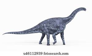 Illustration of a cetiosaurus.