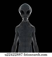 Illustration of a humanoid alien.