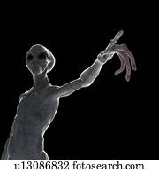 Illustration of a humanoid alien.