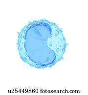 Illustration of a monocyte.