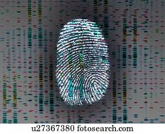 Identity, conceptual image